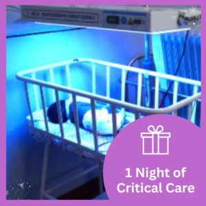 1 Night of Critical Care