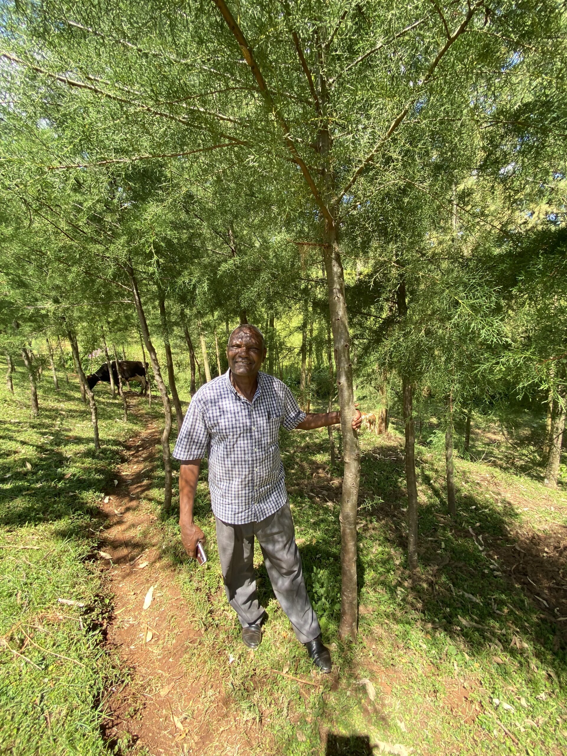 A man stands smiling by the trees he's planted.